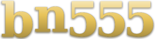 bn555 logo